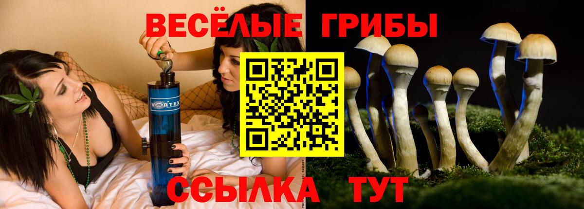 Галлюциногенные грибы Magic Shrooms Урай