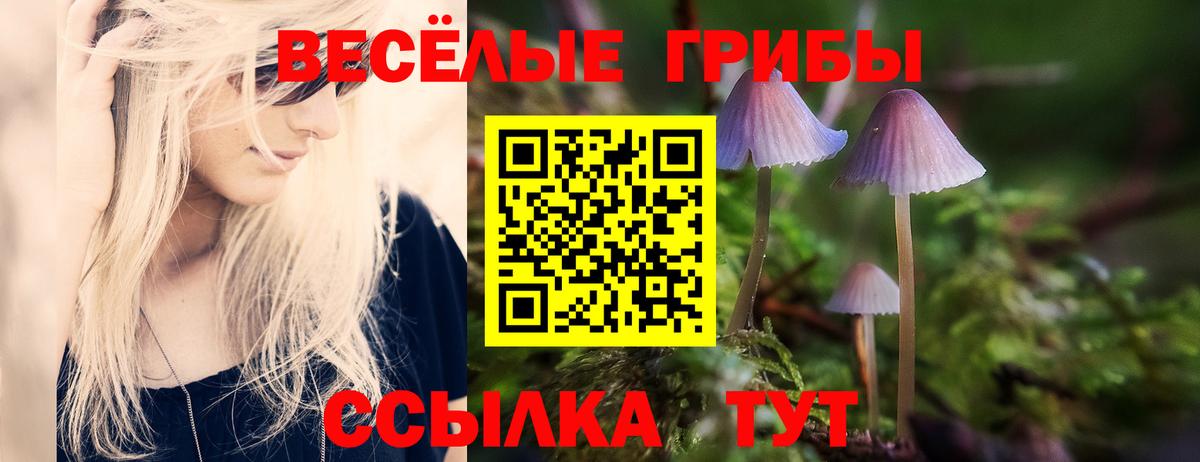 Галлюциногенные грибы Psilocybine cubensis  Вход с VPN  Урай 